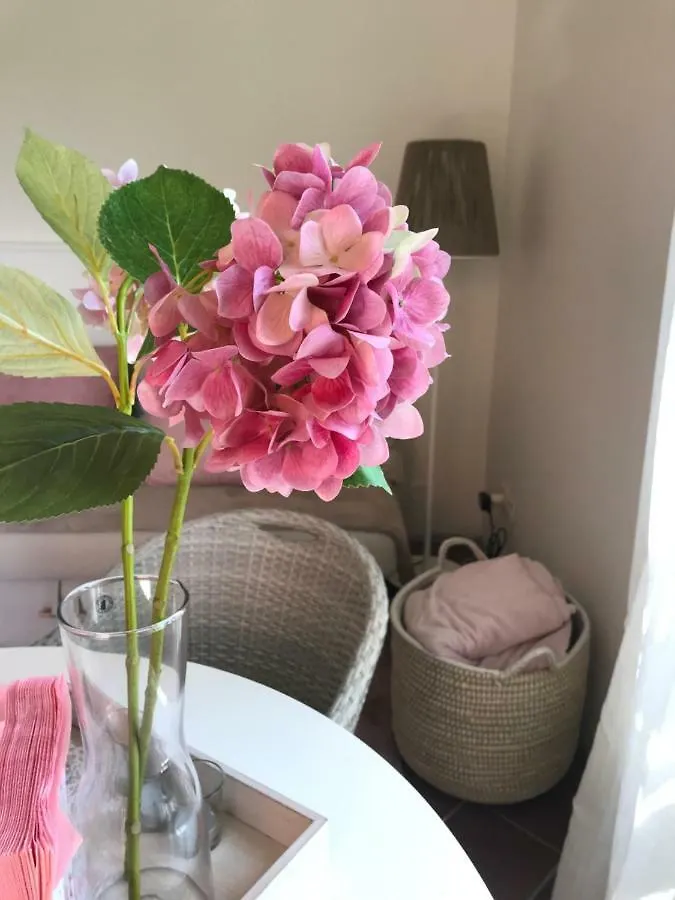 Apartment Appartamento Uliveto Toscolano Maderno